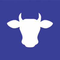 GIF by Vetanco