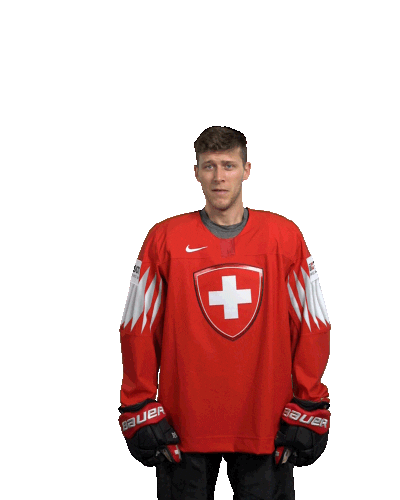 Ice Hockey Goal Sticker by International Ice Hockey Federation