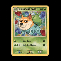 Shiba Inu Humor GIF by Doge Pound