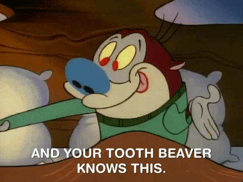 ren and stimpy nicksplat GIF