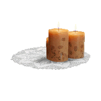 DigitalCounselNYC desertdreamscape farahalqasimi digitalcommission Sticker