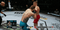 Mixed Martial Arts Fight GIF by UFC
