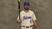 Cuw GIF by CUWFalcons