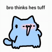 Spainnubcat GIF