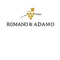 Food Vino Sticker by romanoeadamo
