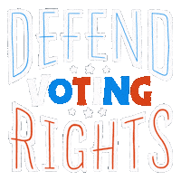 Voting Election 2020 Sticker by INTO ACTION