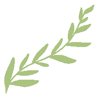 Plant Leaves Sticker