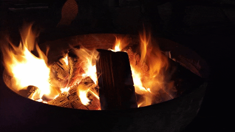 nmyron giphygifmaker GIF