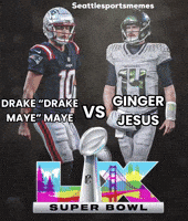 Super Bowl Football GIF