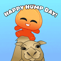 Wednesday Keep Smiling GIF by Playember