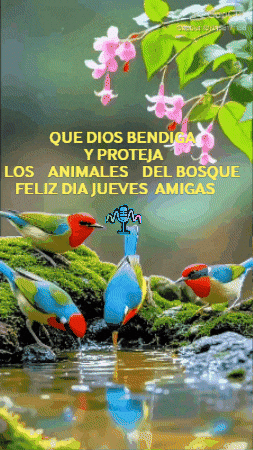 Del Bosque Flores GIF by Murcianys LLC