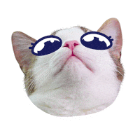 Cute Cat Please Sticker