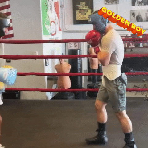 Golden Boy Boxing GIF by Marcel Katz Dalí / The Art Plug