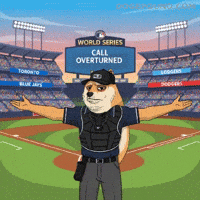 World Series Oops GIF by Doge Pound