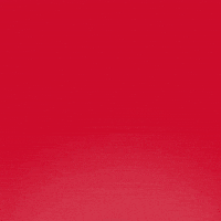 Happy Birthday GIF by Bold Art Degens