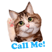 Rexiecat cat cats kitty kitten Sticker