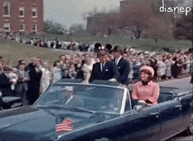 Mickey Mouse Usa GIF