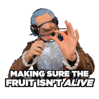 Grape Sticker