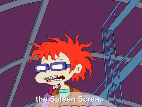 all grown up nicksplat GIF