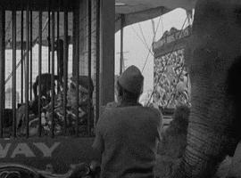 classic film oshaughnessys boy GIF by Warner Archive