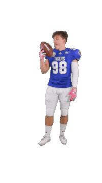 Football Ball Sticker by ACSL - Austrian College Sports League