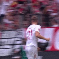 1 Fc Cologne Football GIF by 1. FC Köln