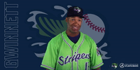 santana GIF by Gwinnett Stripers