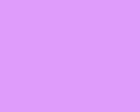 abitan cat life cats kitty GIF