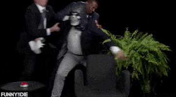 between two ferns GIF by Funny Or Die