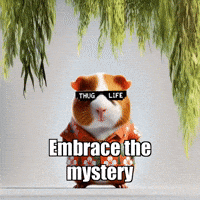 GIF by Guinea Gambino