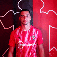 Lewis GIF by Southampton FC