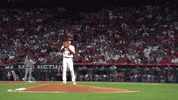 Throwing Major League Baseball GIF by MLB
