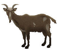 nba sport Sticker by Bleacher Report