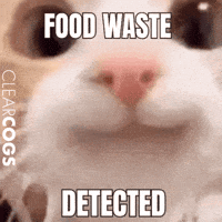 Suspicious Cat GIF by ClearCOGS