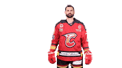 meudonhockeyclub goal hockey france charlie Sticker