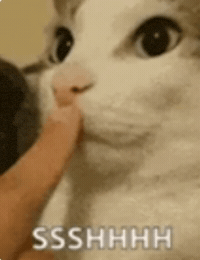 Cat Kitten GIF