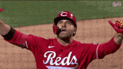 Home Run Celebration GIF by Cincinnati Reds