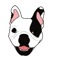 Dog Rocco Sticker