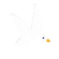 poposolitaire white bird fly flying Sticker