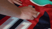 WashingtonSpirit soccer women spirit washington GIF