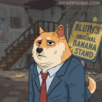 Sad Shiba Inu GIF by Doge Pound