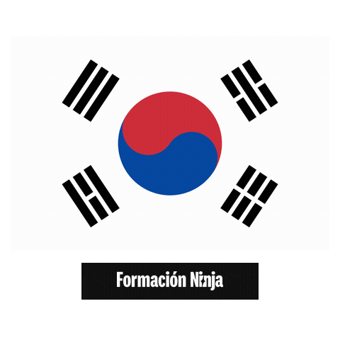 South Korea Flag Sticker by Formación Ninja
