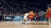 Real Madrid Basketball GIF by ACB