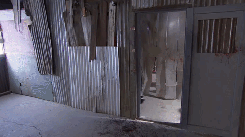 GIF by mtvfearfactor