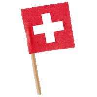 sbrinz cheese schweiz fahne flagge Sticker