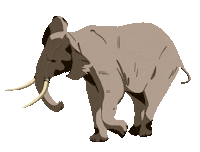 LaPageDeCam africa elephant giant endangered species Sticker