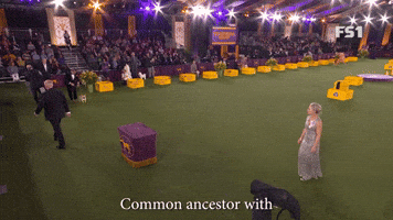 A Companion For English Lace Makers