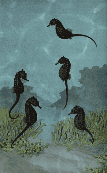 Sea Horses Diving GIF by GIF IT UP