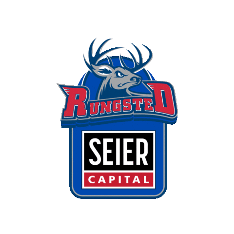 Rsclogo Sticker by Rungsted Seier Capital