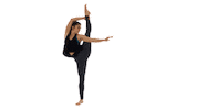 Splits Stretching Sticker by Stretch & Pole